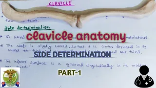 CLAVICLE ANATOMY l Side Determination PART-1