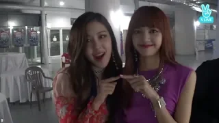 BLACKPINK "Korea Music Festival"