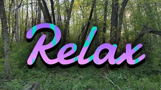 Relaxing 1 hour outdoors sound bird noises