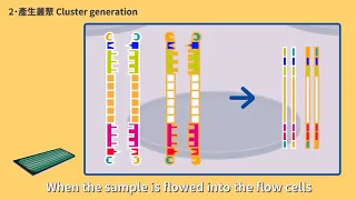 DNA Sequencing: Next Generation Sequencing Method (NGS)