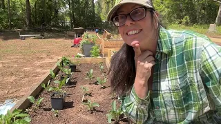 High intensity gardening- Plant this way for more food production!