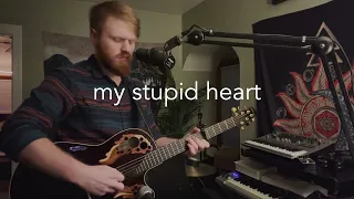 My Stupid Heart - Walk Off the Earth (Nate Bjorge cover)