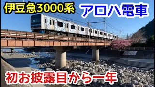 【伊豆急3000系】アロハ電車　初お披露目から1年