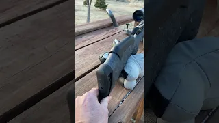 Ruger American Gen 2 .243 Review