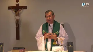 Healing Prayer in the Sunday Mass with Fr Jerry Orbos SVD - July 26, 2020