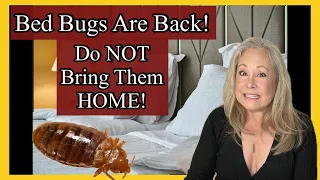Travel Tips! How to NOT bring BED BUGS home from your Trip!