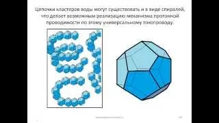 2 - Биологическая роль воды