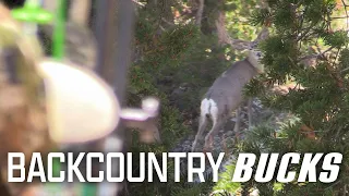 Bow Hunting Mule Deer - Brian Barney Public Land OTC Hunt