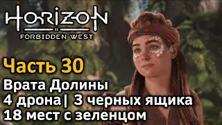 Horizon Forbidden West | Часть 30 | Прохождение | Врата Долины | 4 дрона | 3 черных ящика | Зеленцы