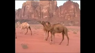 In the desert. W pustyni. В пустынеMusic by Sergey Chekalin