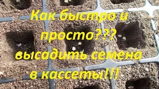 Как быстро и качественно посадить семена в кассеты!!!Выращивание рассады через кассеты!!!