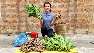 Harvest Ginger & Vegetables Bring to Market Sell - Grow Taro, Ginger welcomes new crop | farming