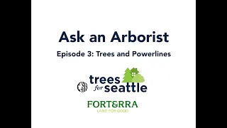 Ask An Arborist Seattle Tree Ambassadors Ep 4