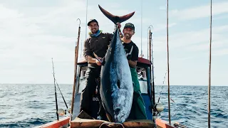 Monster Bluefin tuna in Cape Town