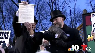 Early Spring: Punxsutawney Phil doesn't see his shadow on Groundhog Day 2024