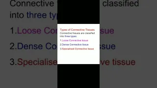 Types of Connective Tissues