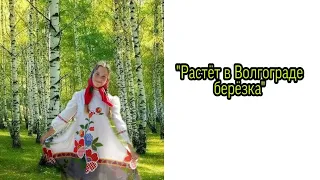 Ксения Полукарова "Растёт в Волгограде берёзка".