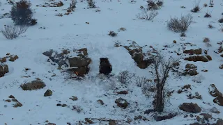 Building a shelter in blizzard and sub-zero cold