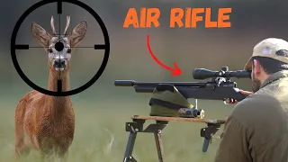 Can you KILL a DEER with an AIR RIFLE? Lets find out!