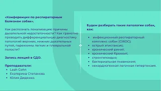 Диденко Юлия -  Клинический случай хронического ринита у собаки