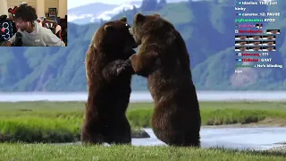 YourRAGE Reacts To Intense Battle Between 2 HUGE Brown Bears In Full HD