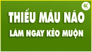 THIẾU MÁU NÃO Gây Mất Ngủ Nhức Đầu Suy Giảm Trí Nhớ | Hãy Làm Theo Các Bước Này | TCL