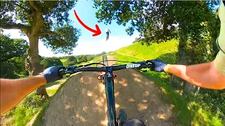 MTB BIKE PARK CHALLENGES