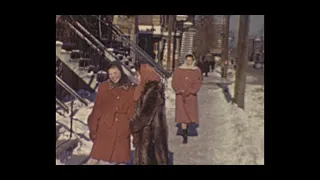 Rue Villeneuve St. Montreal 1950s pt 1 ARCMTL AA SA G 0063