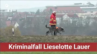 Kriminalfall Lieselotte Lauer: Führt ein Archäologiehund die Ermittler zur Vermissten?