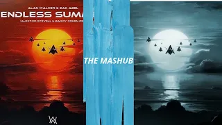 Alan Walker & Zak Abel - mashub Endless Summe Remix