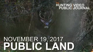 Public Land Day 33: Buck Fight, Still Hunting With a Bow | The Hunting Public