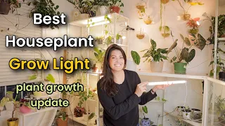 Best Grow Light For Houseplants - New Grow Light For IKEA Cabinet - Soltech Solutions