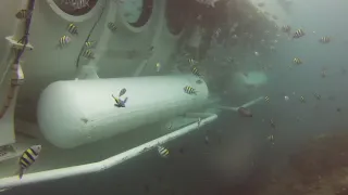 Submarine gets very close to diver and then blows the air tanks!!