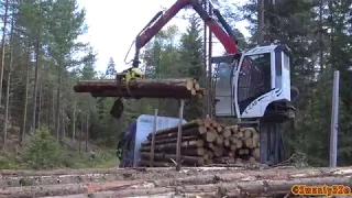 4K| Volvo FH16 750 Timber Truck Loading