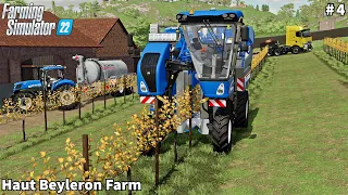 Spreading Slurry & Grape Harvesting│Haut Beyleron│FS 22│Timelapse#4