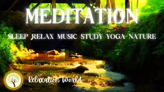 Relaxing Music with Water & Bird Sounds to Calm The Mind, Meditation🌿Music to Sleep, Soul & Body🧘‍♀️