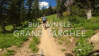 Mountain biking Bullwinkle trail || Grand Targhee bike park