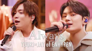 [Collaboration Cover] ENHYPEN JAY & Yuuri - Always(原曲: ENHYPEN)