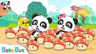 Where Do Mushroom Fairies Take Baby Panda to? | Math Kingdom Adventure | BabyBus