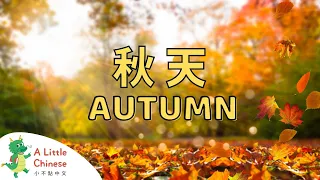 All About Autumn in Chinese 秋天 | Learn Chinese for Kids & Toddlers | Educational Video in Chinese