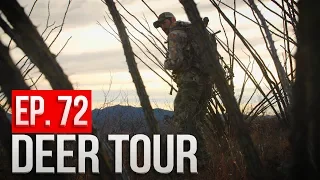 STALKING a BEDDED BUCK! Day 5 - Arizona Public Land Bowhunt - DEER TOUR E72