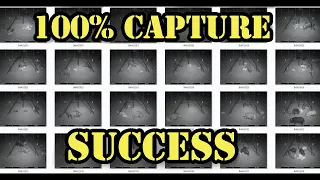 WILD HOG CONTROL | JAGER PRO™ TV Show | 100% CAPTURE SUCCESS