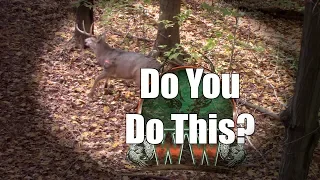 Deer Bow Hunting Tips  | How to Prepare for the Shot