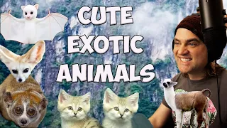 15 Cutest Exotic Pets!