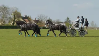 The Devils Horsemen Carriage Driving Team