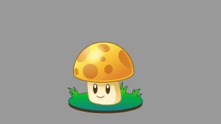 sunshroom