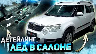 УБИТАЯ ШКОДА! ЛЁД В САЛОНЕ! #ОТМЫЛИ