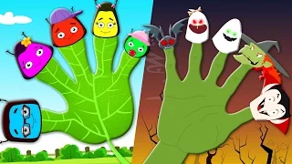 Finger Family Nursery Rhymes And Children's Song