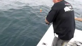 Part 14 Fishing off Cape Good Hope near Cape Town South Africa.