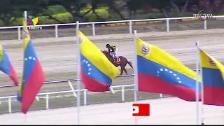 3era. carrera | Orange Blue | Hipódromo La Rinconada | Reunión 19 | 2024